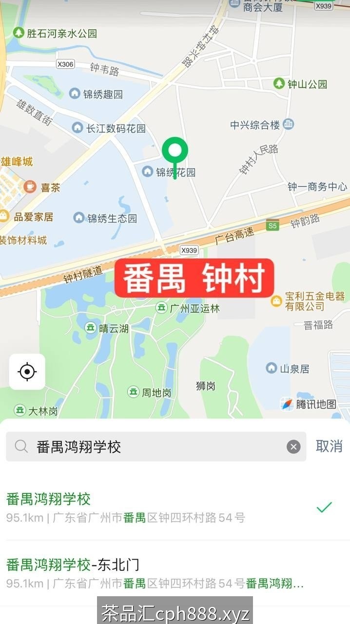 精彩照片