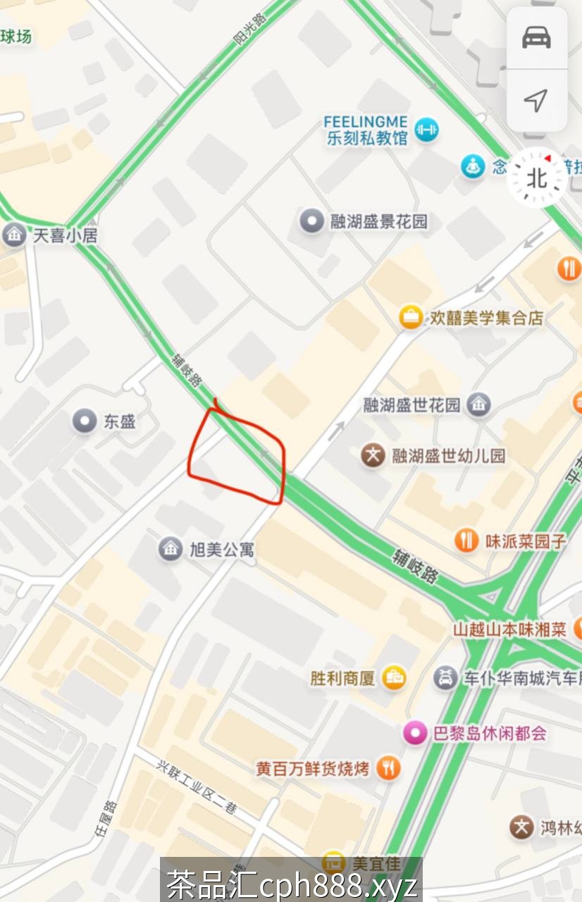 精彩照片